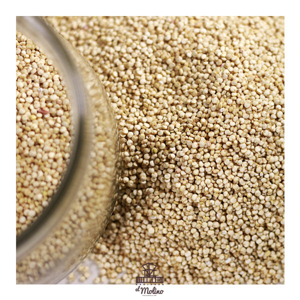 semillas-quinoa