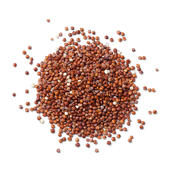 semilla-quinoa-roja