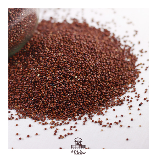 semilla-quinoa-roja