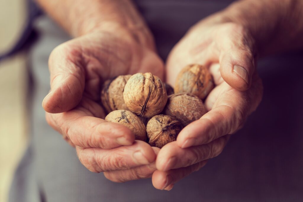 Organic Walnuts offer