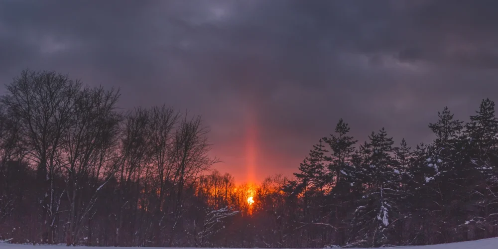 cold-sunset-in-winter-forest-with-sun-light-pillar-2025-03-23-19-01-16-utc