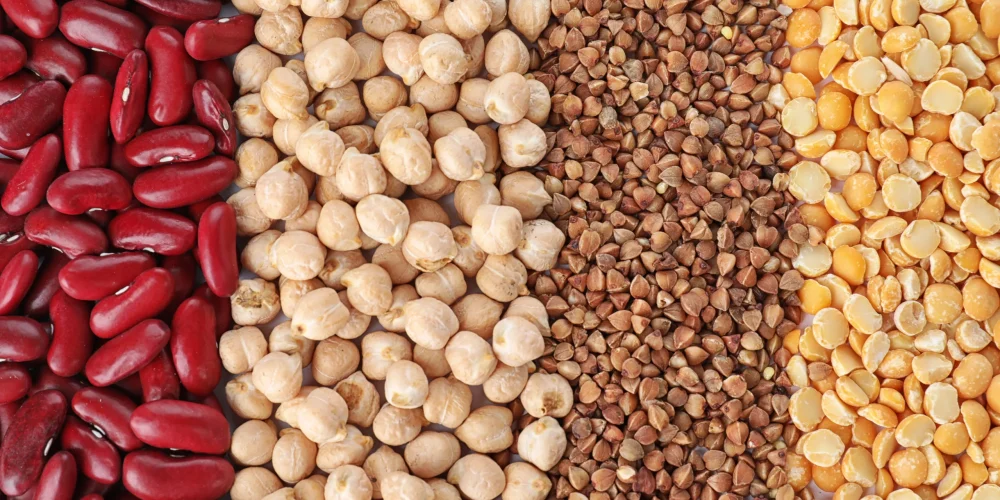 Diferentes tipos de legumbres