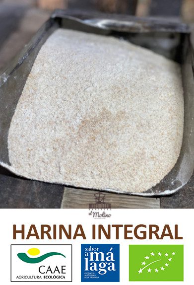 harina-integral-sabor-malaga harina-integral-sabor-malaga